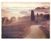 Lone Cypress, Original, Signed, Fine Art Photograph matted to 8x10