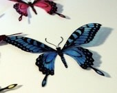B103 - 12 x 3D Butterflies Suitable for Scrapbooking, Weddings and Decorations