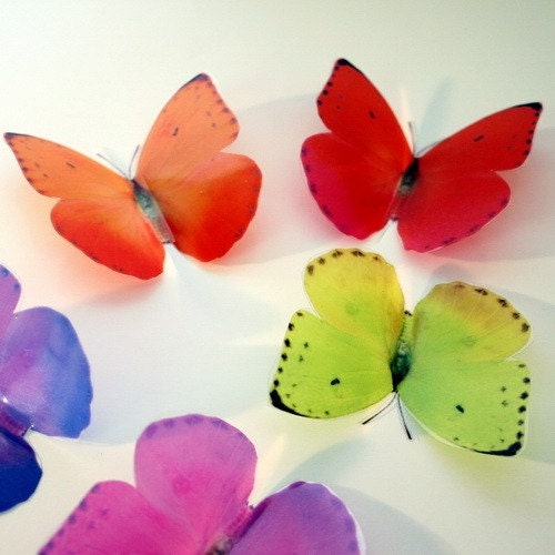 B119 x 12 3D Butterflies for use in Weddings, Decorations and Crafting