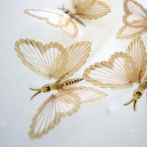 B124 Gold x 12 3D Butterflies for use in Weddings, Decorations and Crafting