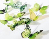 6 x Special Yellow Green 3D Butterflies great for Weddings, Crafts