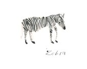 Zebra / Professional Digital Print / 8x11