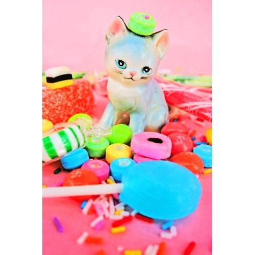 cat print candy kitten 8 x 12 SUGARPUSS