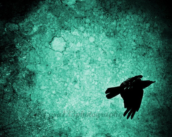 Animal Photograph, Crow Photo, Bird Picture, Black, Turqouoise, Blue, Abstract, Surreal, Flying-8x10 inch Print -Into The Night