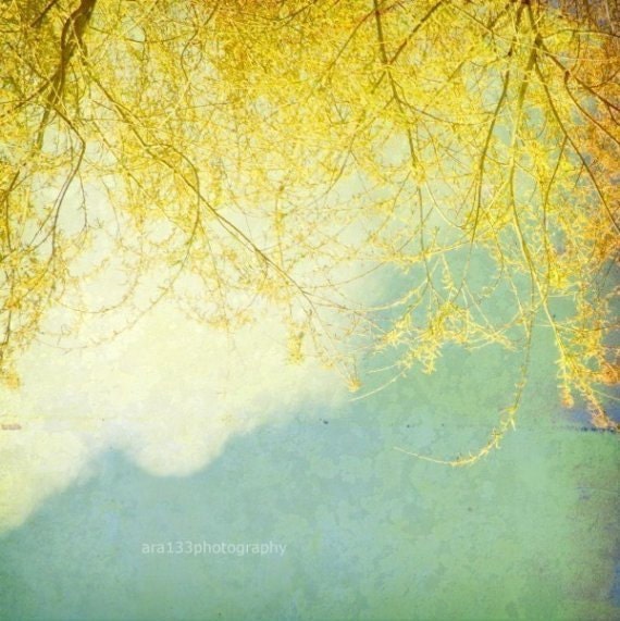 Nature Photography, Spring Home Decor,  Mint,  Teal, Blue, and Yellow Branches, Landscape, Tree, Clouds - 5x5 inch Print - Willow