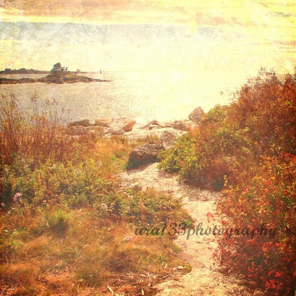 50% OFF SALE-Ocean Photography, Beach Photo, Landscape, Copper, Amber, Brown, Orange, Coastal -8x8 inch Print -Near the Beyond