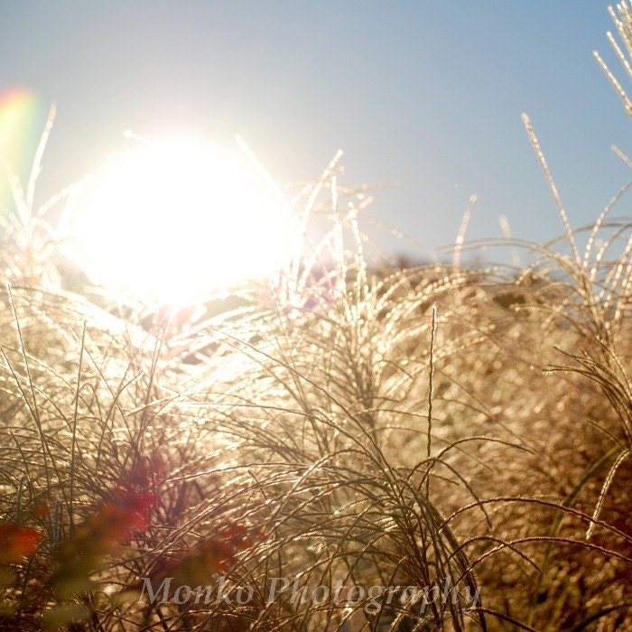 50% OFF SALE- Nature Photograph, Landscape, Fields, Sky, Sun, Autumn, Fall Photography - 5x5 inch Print - Sun In The Air