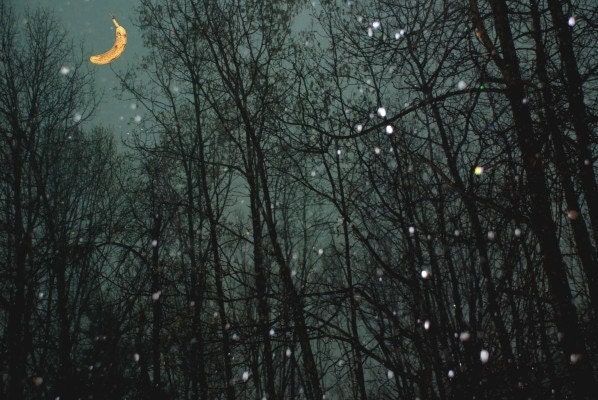 Night Landscape Photography, Moon, Trees, Large Wall Art - Surreal Night Sky with a Banana Moon - 20x30 inch Photograph - "Banana Moon"