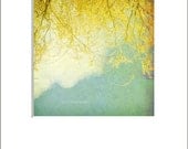 Yellow and Blue Decor, Nature Photography, Shabby Chic Decor, Branches, Tree, Clouds, White - 5x5 inch Print Matted to 8x10 -Willow