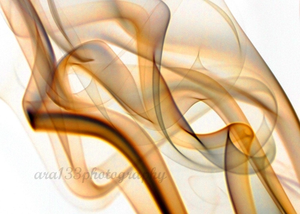 CLEARANCE Modern Art Photo - 5x7 inch Photograph - "Amber Waves" - ara133photography