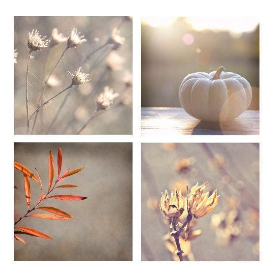 Winter Photos. Nature Photography, Still Life Pictures, Orange, Yellow, Brown, Gold, Fall, Autumn - Grey Dusk - Set of Four  5x5 inch Prints