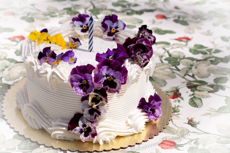 Spring Birthday - 4x6 Photo Greeting Card