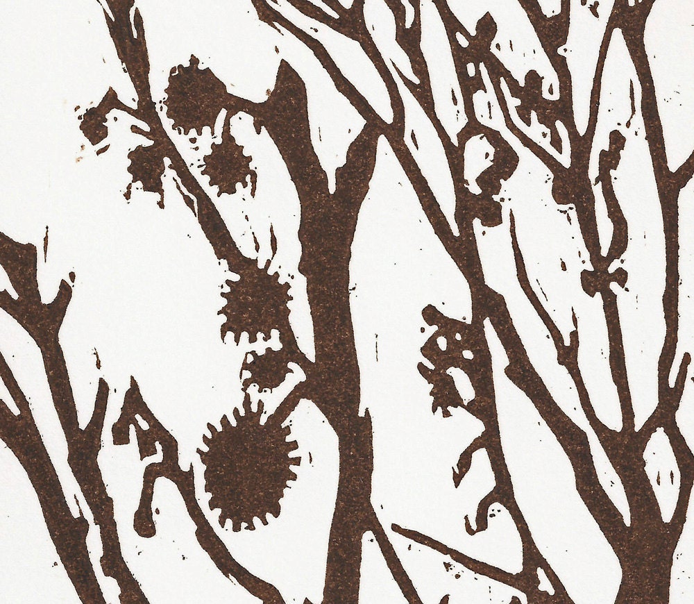 Sweet Gum Tree Woodblock Print, Matted, Brown and White, Nature Art