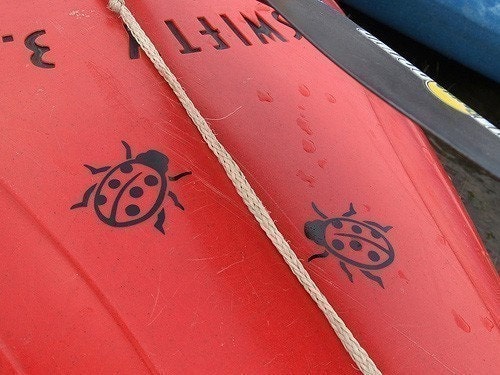 Kayak Decal, Medium - you pick design