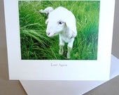 Spring Greeting Card Lamb Baby Country Life Lady Gaga