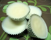 4 CYPRESS COVE Dye Free Soy Blend Wax Melts / Tarts - 4oz (cypress wood, morning rain) - CLEARANCE