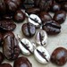 Coffee Bean Necklace in Sterling Silver