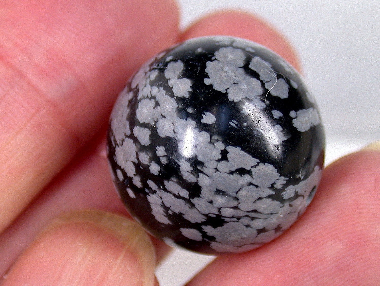 Vintage SNOWFLAKE OBSIDIAN Bead Black Grey Focal 20mm pkg1 rb113