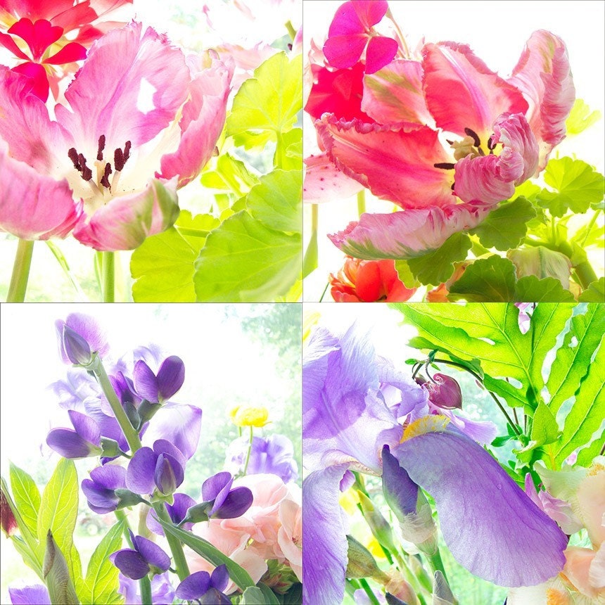 Four Flower Photographs Wall Decor, Neon Tulip, Iris, Baptisia Still Life,  Floral Art Prints,  Nature Photography