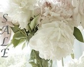 Bogo Sale  -  Any Four Fine Art Photographs, Special Price, Large Size