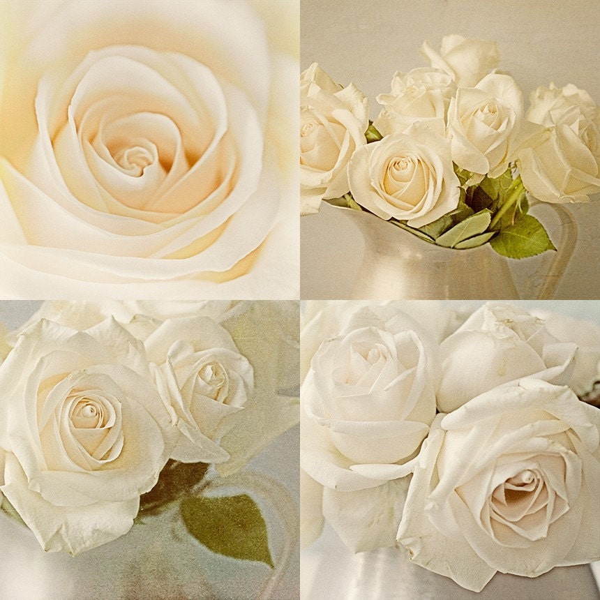 Four  White Rose Sepia Photographs, Still Life, Monochromatic Wedding Decor, French Country Wall Decor,   Shabby Chic Home Decor