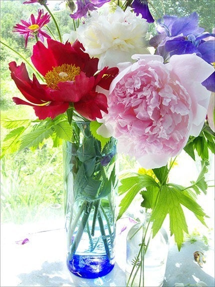 Peony Still Life  Photograph, Bouquet of Peonies,  Floral Art Print, Flower Photography Wall Decor