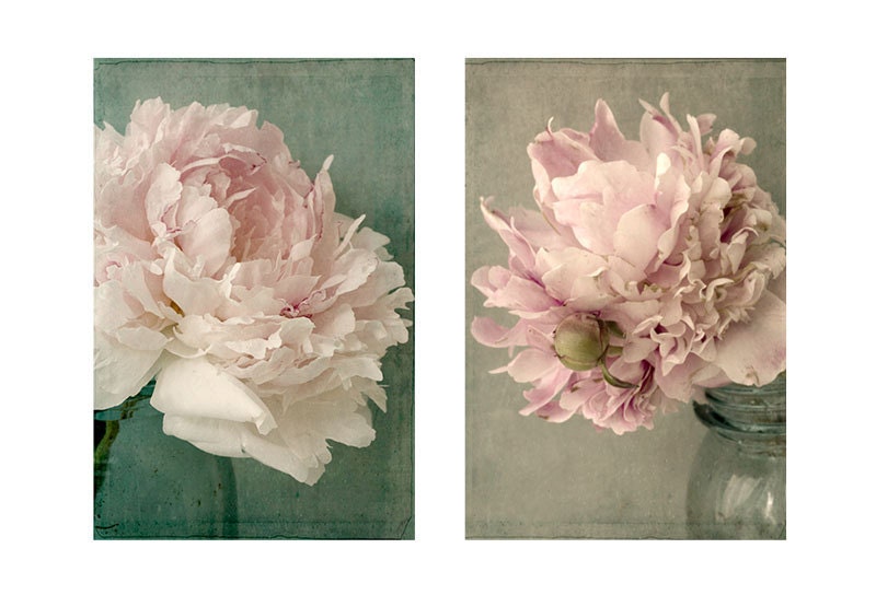 Two Peony Photographs, Floral Art Print, Shabby Chic Home, Vintage Inspired, Pink Peony Photos, French Country Home