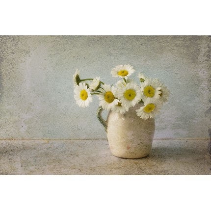 White Daisy Photograph, Still Life of a Jug of Daisies,  Floral Art Print,  Flower  Wall Decor - JudyStalus
