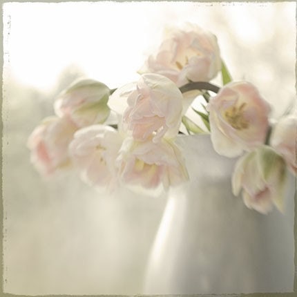 Sepia Tulip Still Life Photograph, French Country, Shabby Chic Wall Decor, Monochromatic Art Print