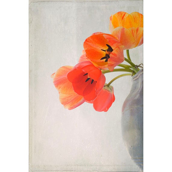 Orange Tulip Photograph, Floral Art Print, Flower Still Life, French Country Wall Decor