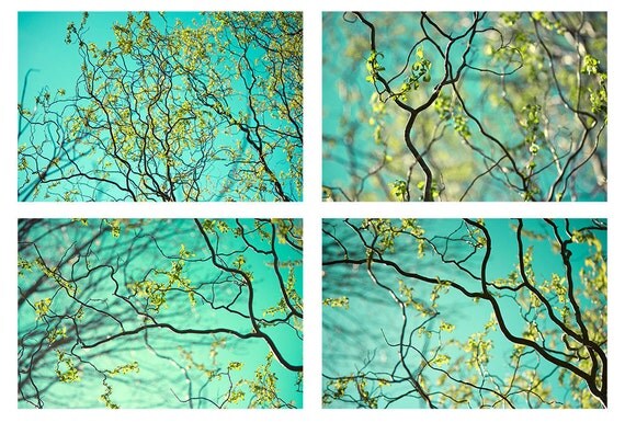 Four Sky Landscape Photographs, Nature Photography,  Turquoise, Chartreuse Wall Decor