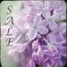 Any Four Photographs 7 x 10, 8 x 10, or 7.5 x 7.5, Dreamy, Romantic Wall Decor