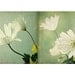 White Flower Wall Decor, Two Anemone Photographs,  Floral Art Prints, Still Life Photography, Mint
