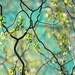 Four Sky Landscape Photographs, Nature Photography,  Turquoise, Chartreuse Wall Decor