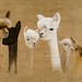 Gang of Alpacas