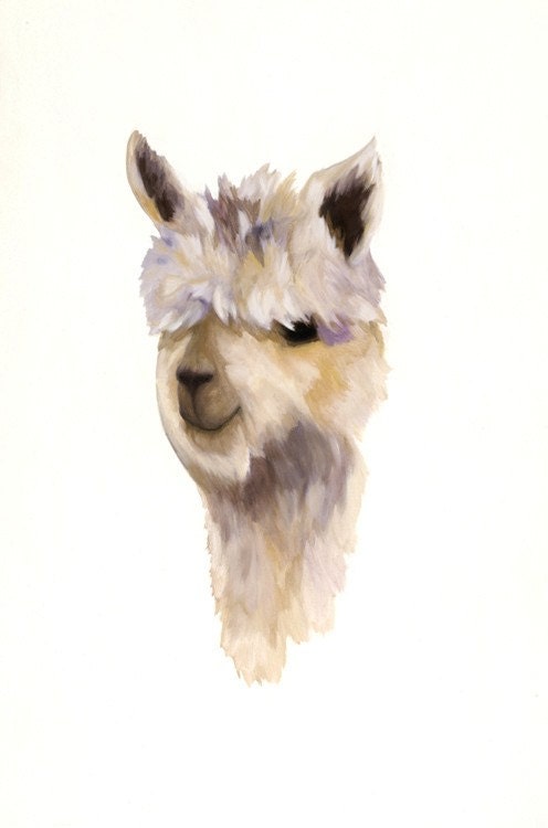 Purple Alpaca