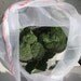 Combo 5 pack-reusable, washable produce bags