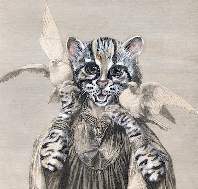 cat girl with doves