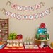 Farm Barnyard Birthday Party - PRINTABLE only