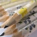 mini hand-wrapped japanese pencils - set of 10 - whisper breeze