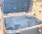 SALE--65% OFF  Repurposed Vintage Train Case Pet Bed