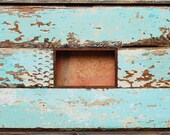 Sea Green, Brown and Buttercream Frame