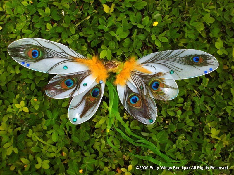 Peacock Fairy Wings