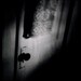 Bathroom Door Noir - Spooky Shadowy Suspense Polaroid Print