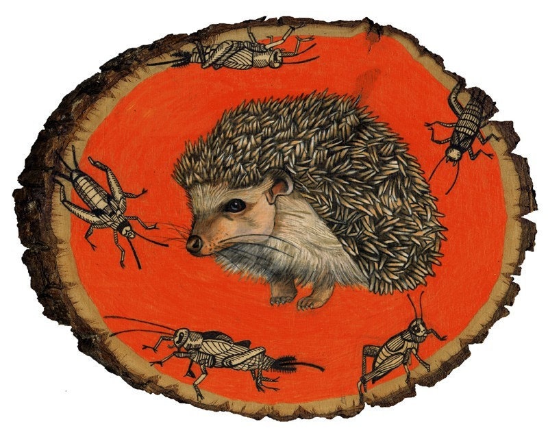 Is That A Hedgehog In Your Pants Or Are You Just Happy To See Me print 8x10