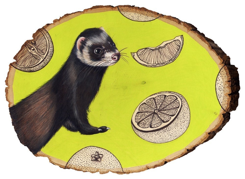 Ferrets Don't get no Respect print 5x7