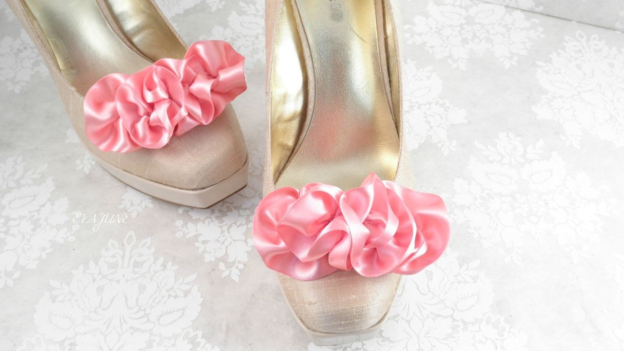 Pink Shoe Clips, Marie Antoinette, Let Them Eat Cake Ruffles.