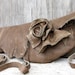 RESERVED for Sweetupgirl Distressed Olive Brown Leather Wrap Clutch with Natural Edge Rose by Stacy Leigh SALE