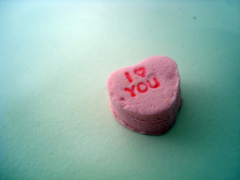 I Love You 8x10 photograph print - free shipping