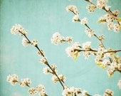 The Sweet Life - 8x8 Fine Art Photograph